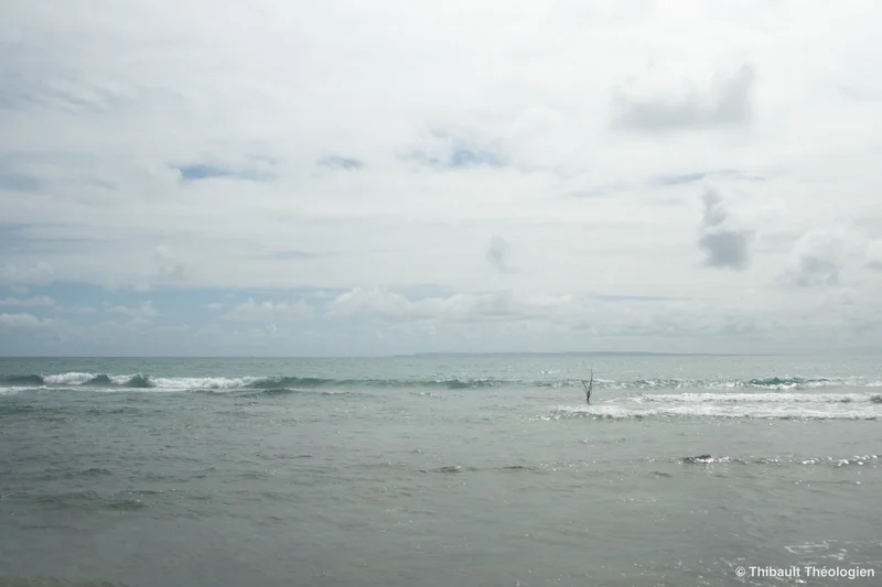 Photo 106