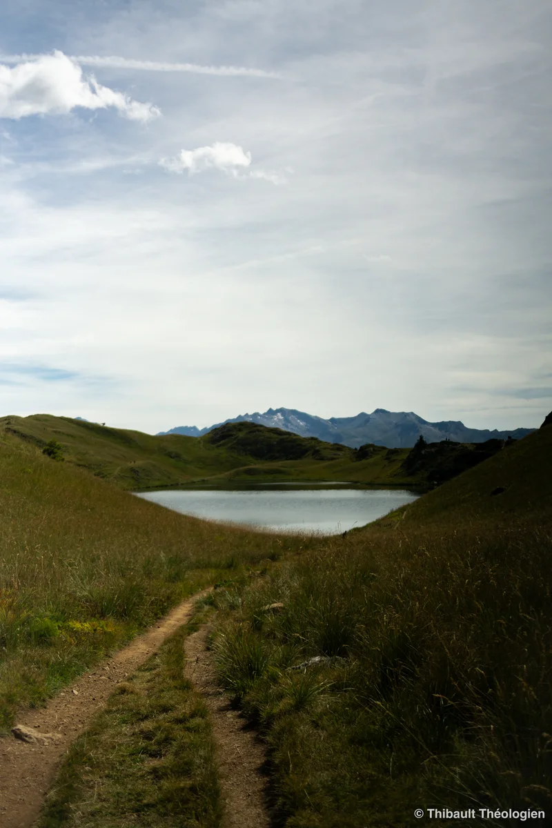 Photo 43