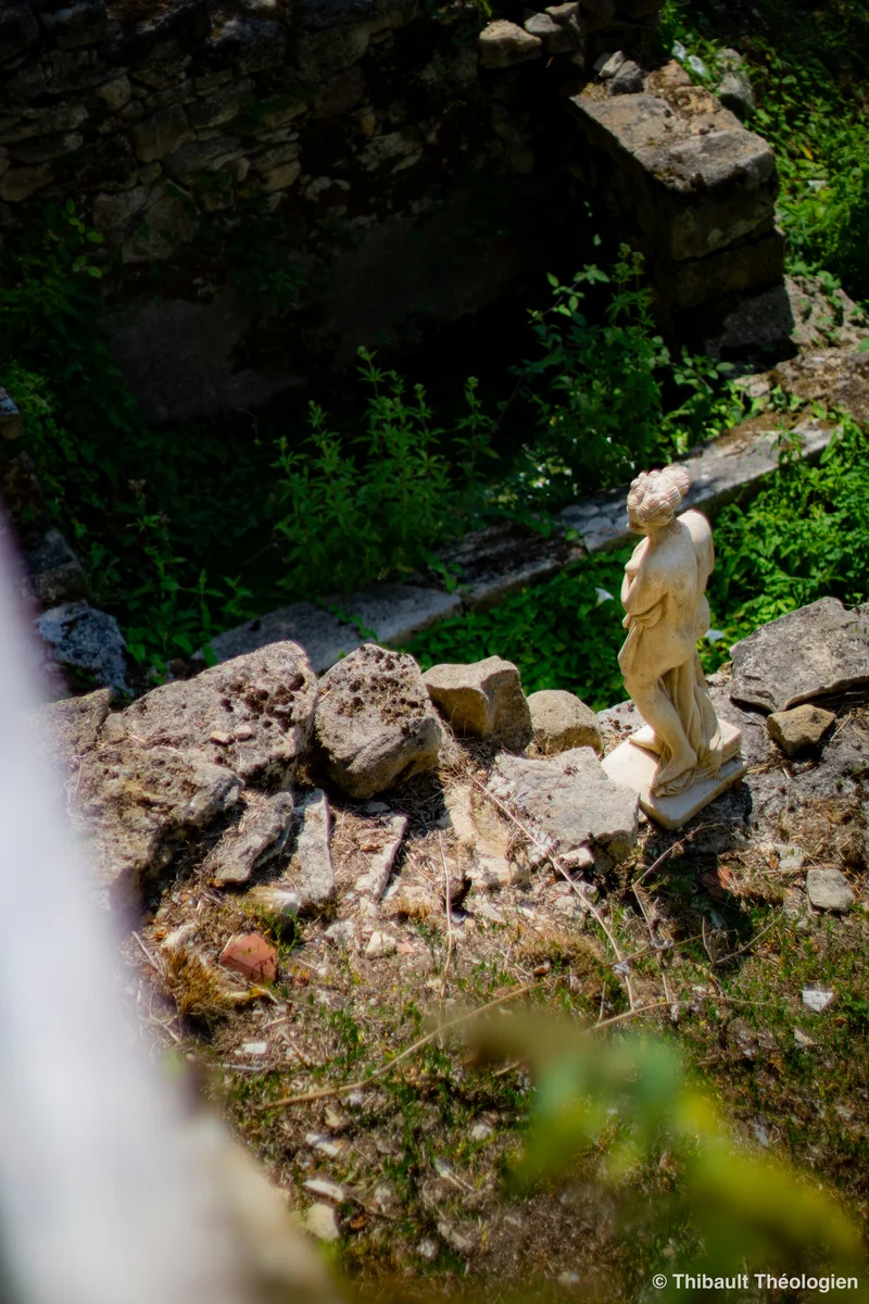 Photo 23